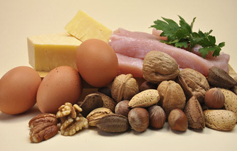 Why Is Protein Important In Your Diet?