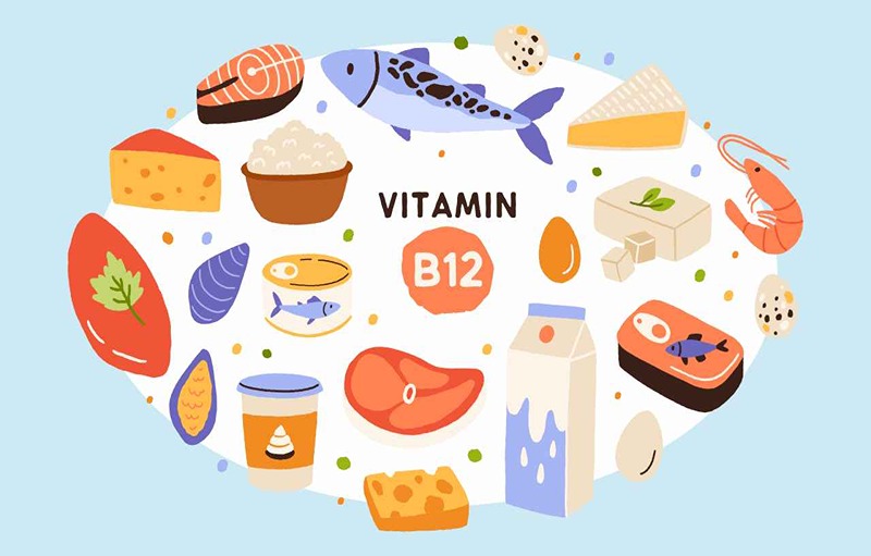 What Are The Benefits Of Vitamin B12?