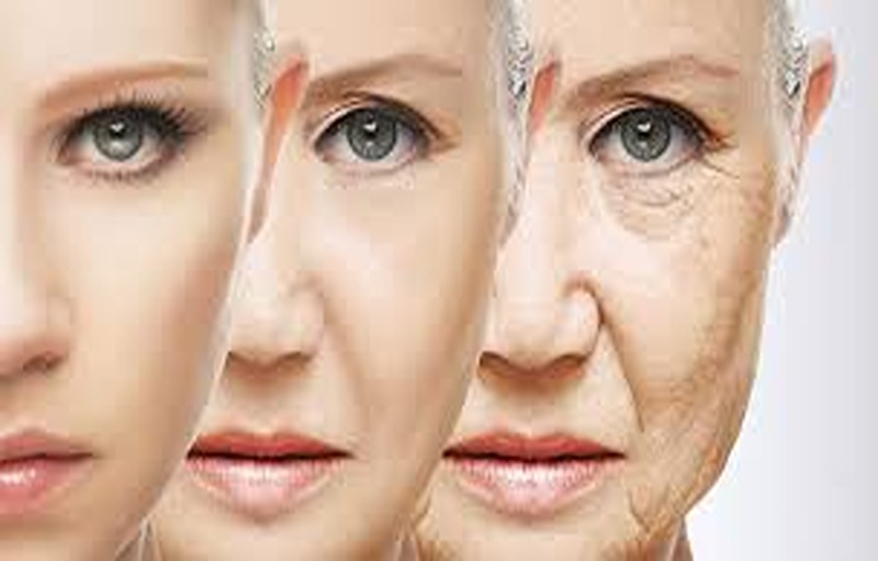 Home Remedies That Help You Through Anti Aging