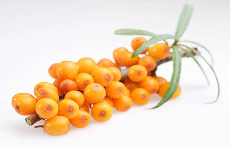 Your blog title here...What Is Seabuckthorn Oil Used For?