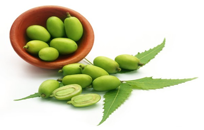 How Neem Seed Oil Is Useful?