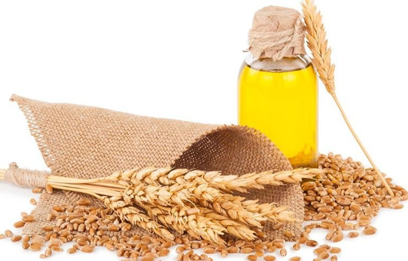 What Are The Health Benefits of Wheat Germ Oil?