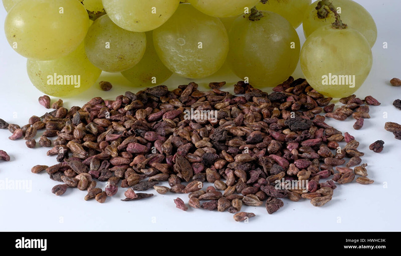 Grape Seed Extract Health Supplement Works Wonder For Your Body