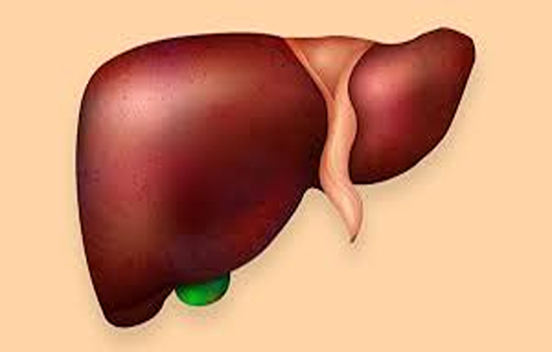 What Are The Benefits Of Using Liver Support Supplement?