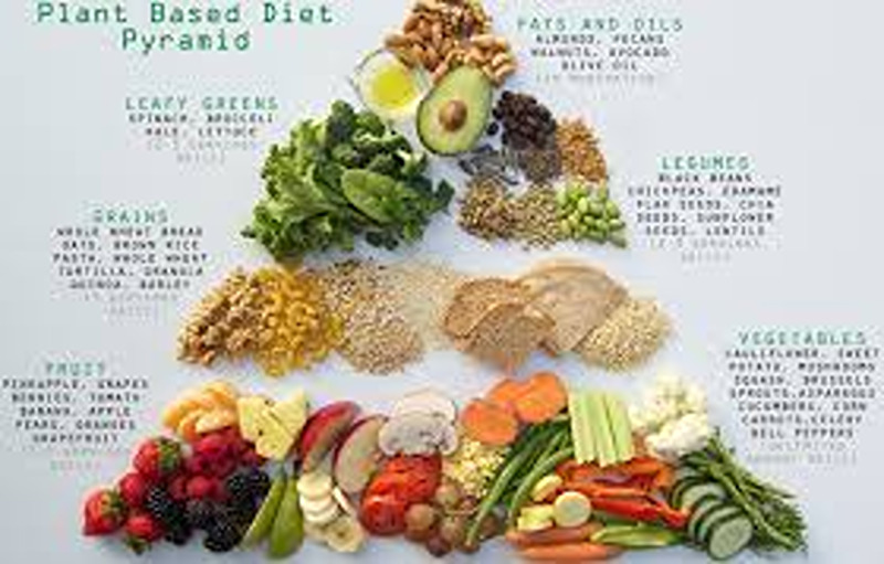 A Beginner’s Guide To A Plant-Based Diet