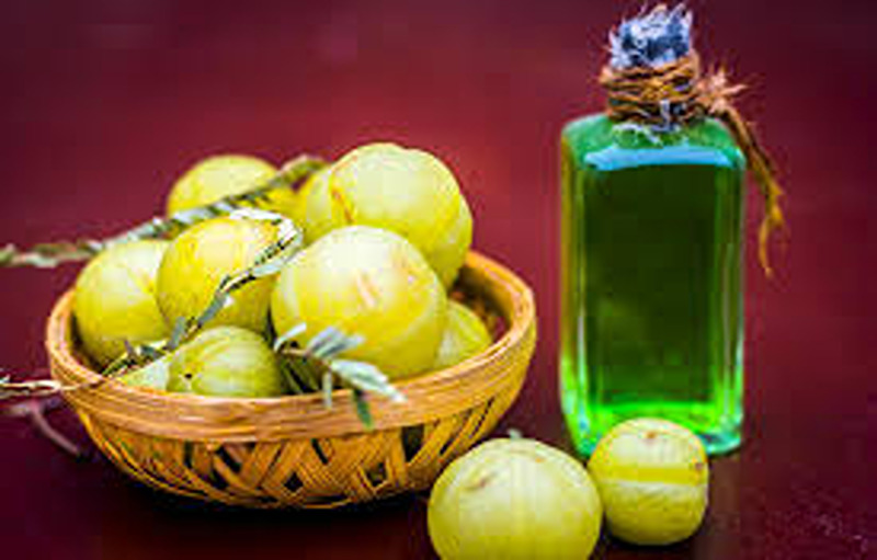 What Are The Health Benefits Of Amla