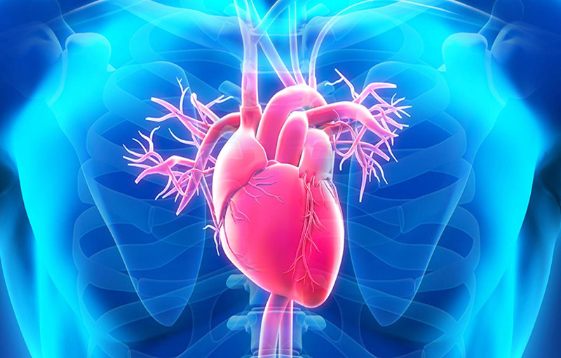 14 Best Foods For Healthy Heart