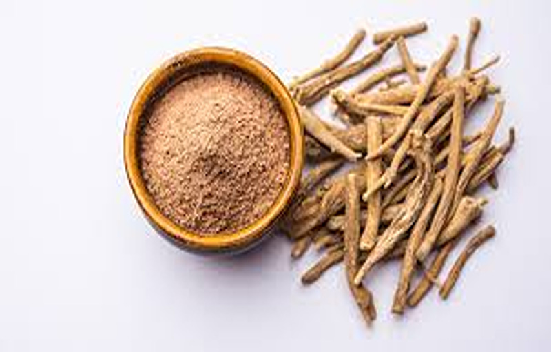 Ashwagandha: Benefits, Weight Loss, Side Effects & Usage – Inlifehealthcare