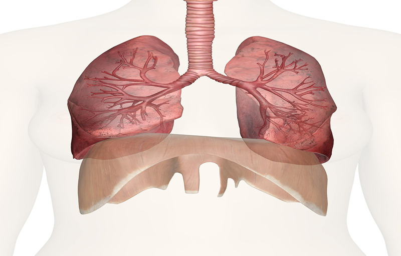 Home Remedies To Improve Your Lung Capacity