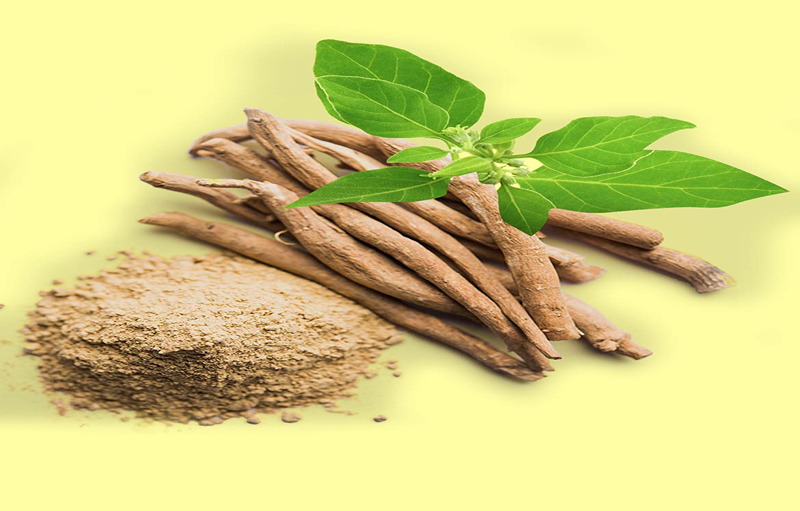 What Ashwagandha Does For Your Health?