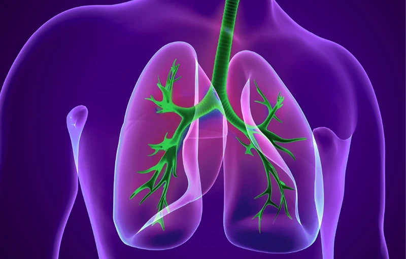 Chronic Obstructive Pulmonary Disease (COPD)