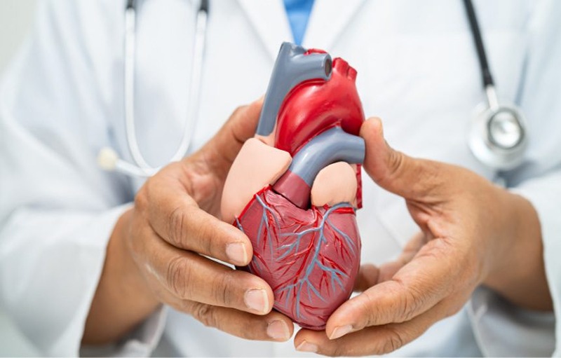 The Silent Killer: What You Need to Know About Heart Disease